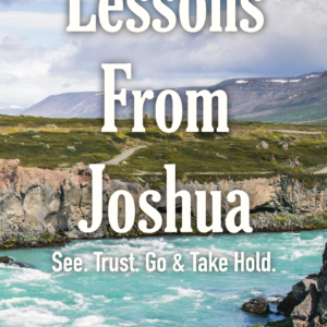 Lessons from Joshua